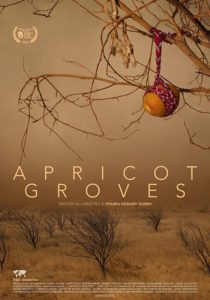 APRICOT GROVES poster