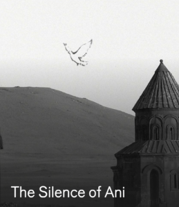 THE SILENCE OF ANI – Turkey – Francis Alys